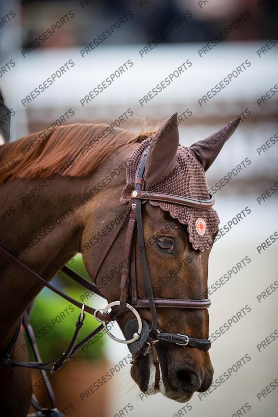 Photographie Eric KNOLL. Saut Hermes 2019. Jumping CSI 5. Simon DELESTRE (FRA). HERMES RYAN 