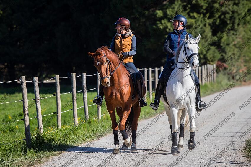 Elevage MASSA. Arnaud SERRE avec Vistoso de Massa et Anne-Sophie SERRE avec Dynastie de Massa. Photographie Eric KNOLL Elevage MASSA avec Arnaud et Anne Sophie SERRE 