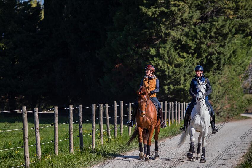 Elevage MASSA. Arnaud SERRE avec Vistoso de Massa et Anne-Sophie SERRE avec Dynastie de Massa. Photographie Eric KNOLL Elevage MASSA avec Arnaud et Anne Sophie SERRE 