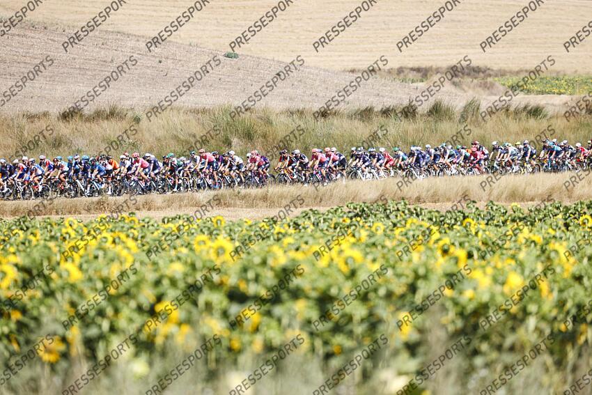 Vuelta Espana 2021 - 76th Edition - 2nd stage Caleruega - Burgos - 15/08/2021 - scenery peloton VUELTA ETAPE 02 CALERUEGA/BURGOS 