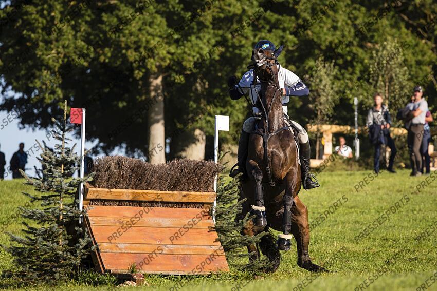 Le Grand Complet 2021. Haras du Pin. CCI2-S. Christoffer FORSBERG (SWE). JEBO KWIK W. Photographie Eric KNOLL LE GRAND COMPLET HARAS DU PINS 