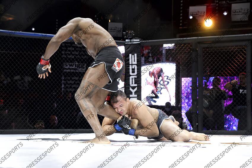 lapilus (damien) (fra) gant rouge rodrigues (leandro) (bra) gant bleu MMA GRAND PRIX 4 