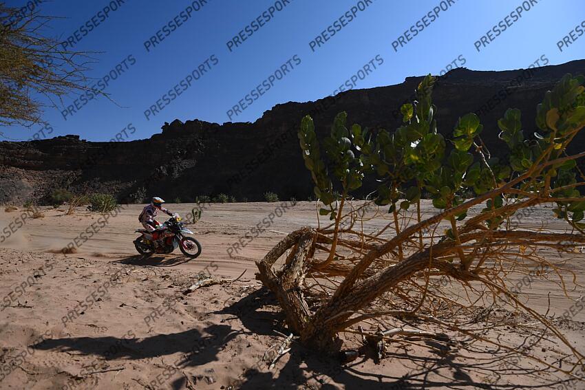 rodrigues (joaquim) - (por) - WADI AD DAWASIR/BISHA 