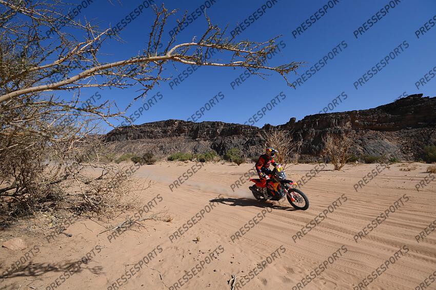 price (toby) - (aus) - WADI AD DAWASIR/BISHA 