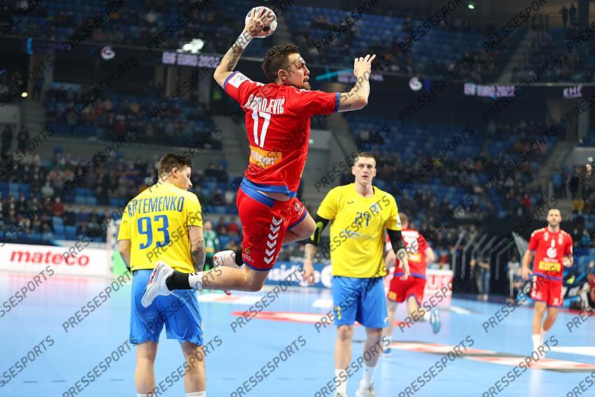 radivojevic (bogdan) SERBIE-UKRAINE (31-23) 