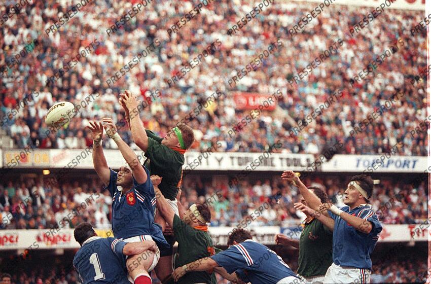 wiese (kobus) 