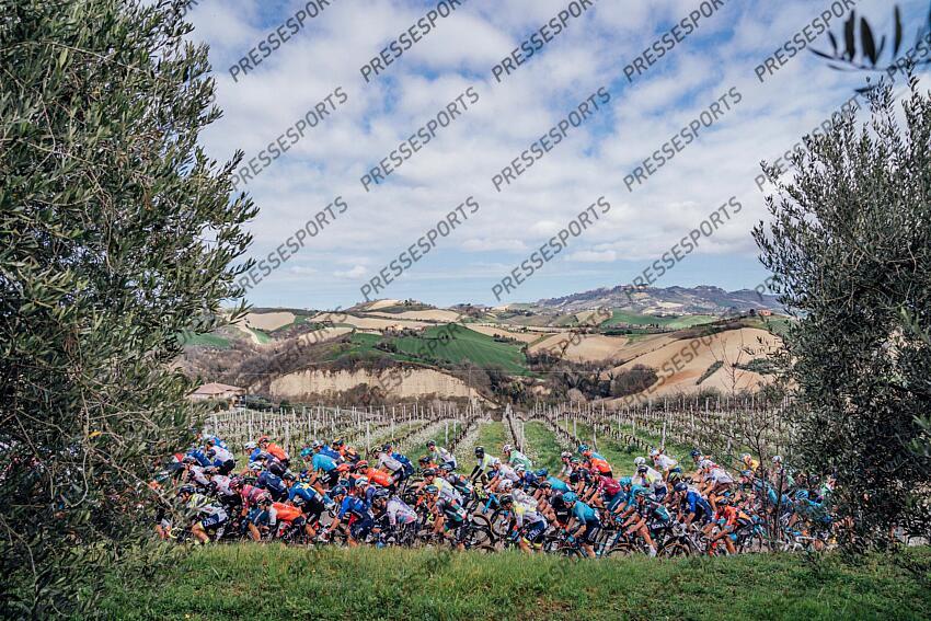 Picture by Zac Williams/SWpix.com- 12/03/2023 - Cycling - 2023 Tirreno Adriatico Stage 7 - San Benedetto Del Tronto, Italy - The peloton during Stage 7. ETAPE 07 SAN BENEDETTO DEL TRONTO/SAN BENEDETTO DEL TRONTO 
