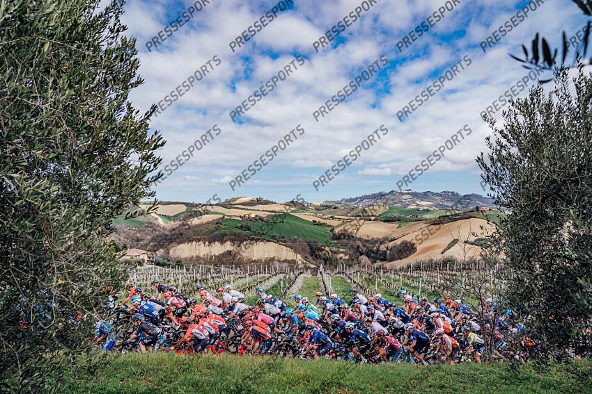 Picture by Zac Williams/SWpix.com- 12/03/2023 - Cycling - 2023 Tirreno Adriatico Stage 7 - San Benedetto Del Tronto, Italy - The peloton during Stage 7. ETAPE 07 SAN BENEDETTO DEL TRONTO/SAN BENEDETTO DEL TRONTO 