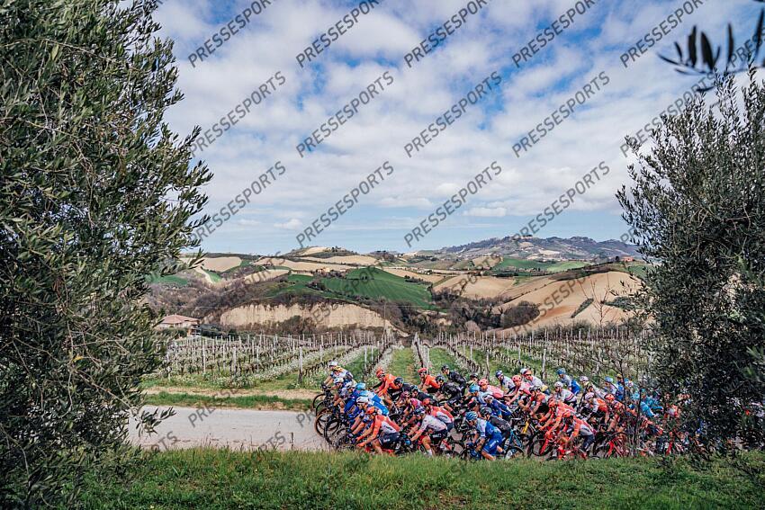 Picture by Zac Williams/SWpix.com- 12/03/2023 - Cycling - 2023 Tirreno Adriatico Stage 7 - San Benedetto Del Tronto, Italy - The peloton during Stage 7. ETAPE 07 SAN BENEDETTO DEL TRONTO/SAN BENEDETTO DEL TRONTO 