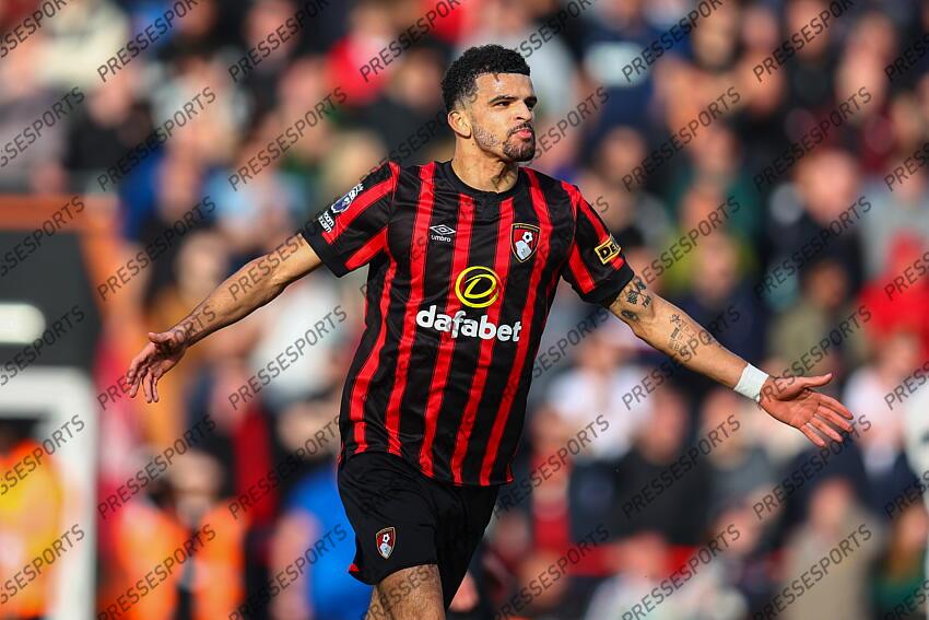 13 April 2024, Bournemouth - Premier League Football - AFC Bournemouth v Manchester United - Dominic Solanke of Bournemouth celebrates scoring their 1st goal - Photo: Charlotte Wilson / Offside. BOURNEMOUTH-MANCHESTER UNITED (2-2) 