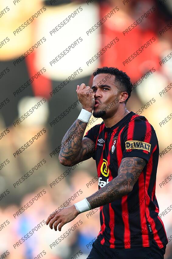 13 April 2024, Bournemouth - Premier League Football - AFC Bournemouth v Manchester United - Justin Kluivert of Bournemouth celebrates scoring their 2nd goal - Photo: Charlotte Wilson / Offside. BOURNEMOUTH-MANCHESTER UNITED (2-2) 