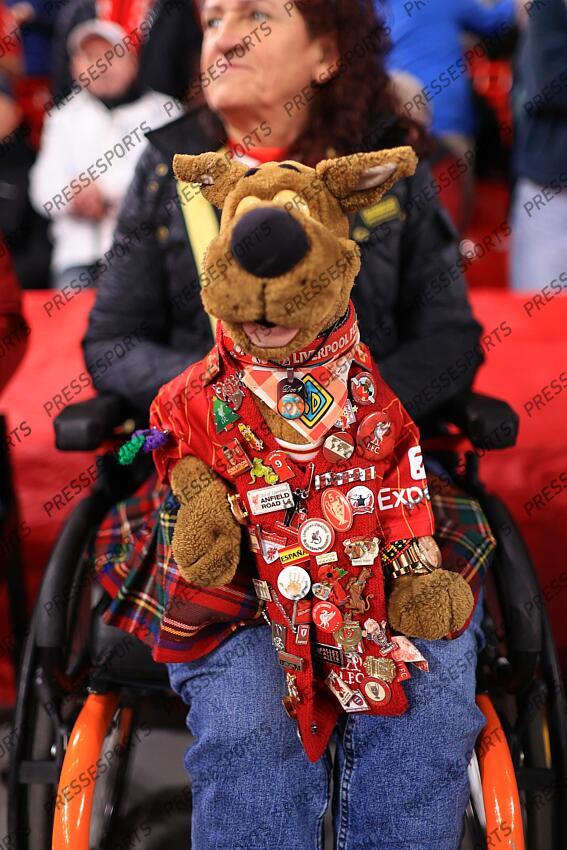 2nd October 2024 - UEFA Champions League - Liverpool FC v Bologna FC - a Scooby-Doo puppet with Liverpool badges - Photo: Simon Stacpoole / Offside. peluche dessin anime LIVERPOOL-BOLOGNE (2-0) 