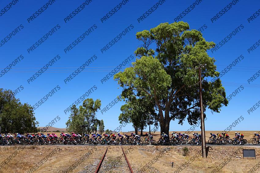 2025 CYCLISME TOUR DOWN UNDER TOUR DOWN UNDER 2025
