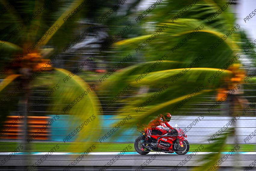 Francesco Bagnaia ITA Ducati Lenovo Team Ducati MotoGP Test MotoGP 2025 (circuit Sepang / Buriram) 1-13/02/2025 photo: Lukasz Swiderek  www.photoPSP.com  @photopsp_lukasz_swiderek  TESTS SEPANG 