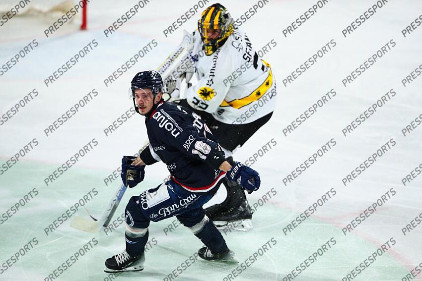 Cedric DI DIO Balsamo (Angers) /Hockey sur Glace / Ligue Magnus 2024-2025 / 22ème Journée / Ducs d'Angers Vs Dragons de Rouen / Patinoire IceParc / Angers / Maine et Loire / Pays de la Loire / France ANGERS-ROUEN (0-3) 