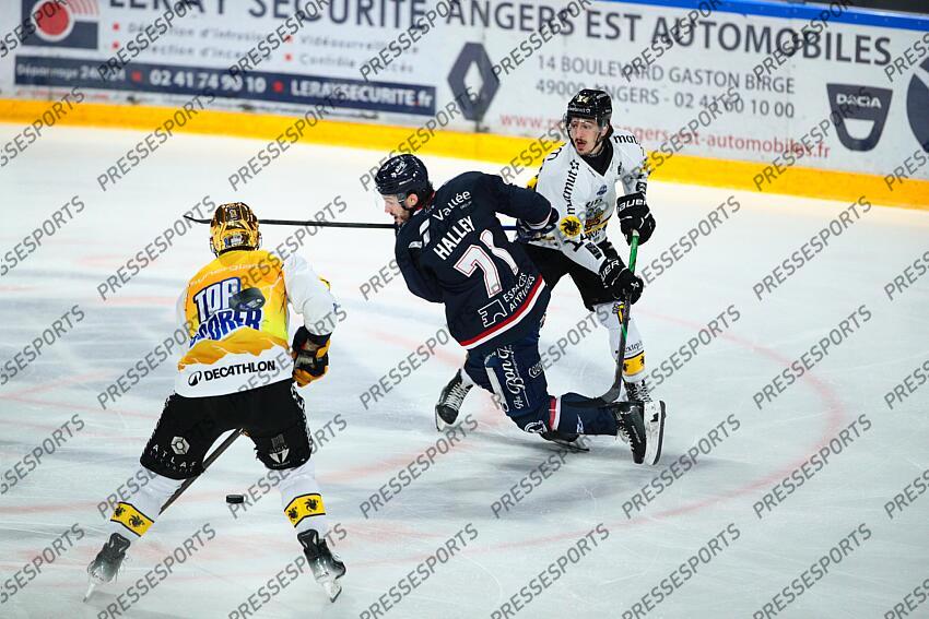 Philippe HALLEY (Angers) /Hockey sur Glace / Ligue Magnus 2024-2025 / 22ème Journée / Ducs d'Angers Vs Dragons de Rouen / Patinoire IceParc / Angers / Maine et Loire / Pays de la Loire / France ANGERS-ROUEN (0-3) 