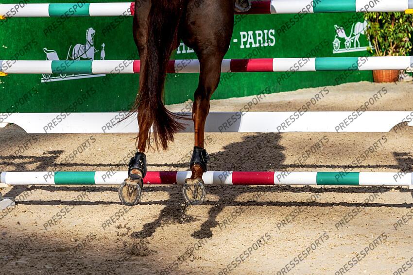 JUMPING SAUT D'OBSTACLES 2025 SAUT HERMES