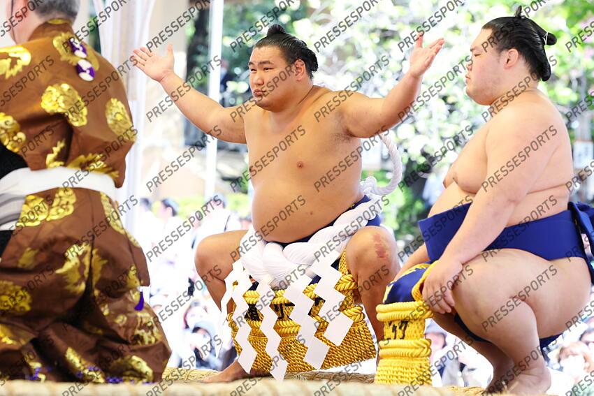 LUTTE JAPONAISE 2025 TOURNOI DE SUMO AU SANCTUAIRE DE YASUKUNI