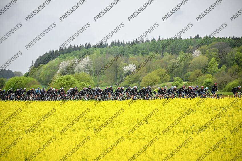 HUY, BELGIUM - APRIL 23 : Illustration picture of the peloton during the Men Elite UCI 1.Pro 89th A.S.O. La Fleche Wallonne cycling race with start in Ciney and finish in Huy (205,2 km) on April 23, 2025 in Huy, Belgium, 23/04/2025 ( Motordriver Guy De Vuyst & Photo by Tomas Sisk / Photo News LA FLECHE WALLONNE 