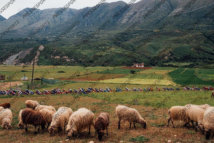 Picture by Zac Williams/SWpix.com - 11/05/2025 - Cycling - 2025 Giro d'Italia Stage 3, Vlore to Vlore, Albania - The peloton traverse the Albanian countryside. montagne mouton VLORE/VLORE 
