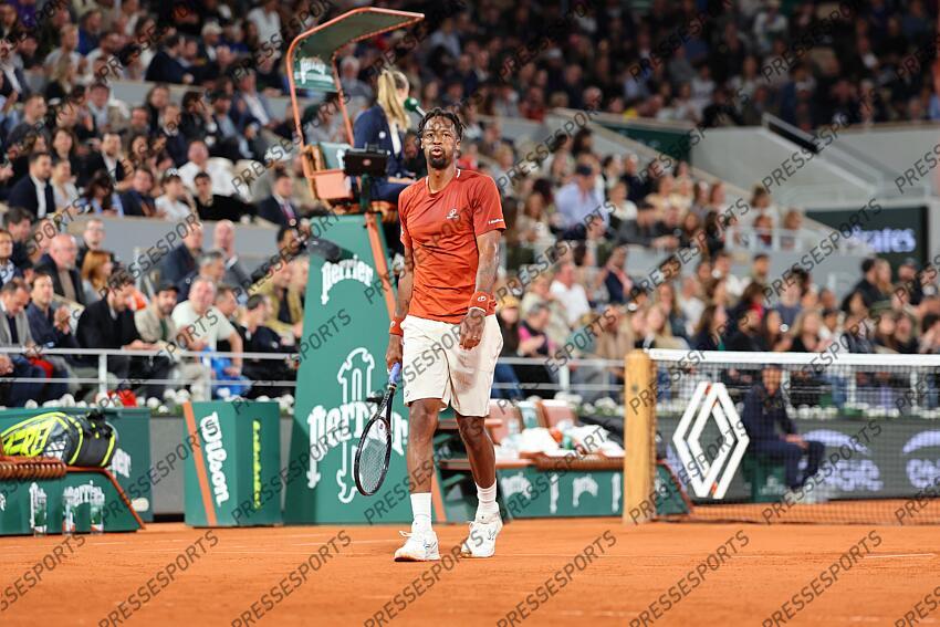 monfils (gael) - (fra) - MONFILS/DELLIEN 